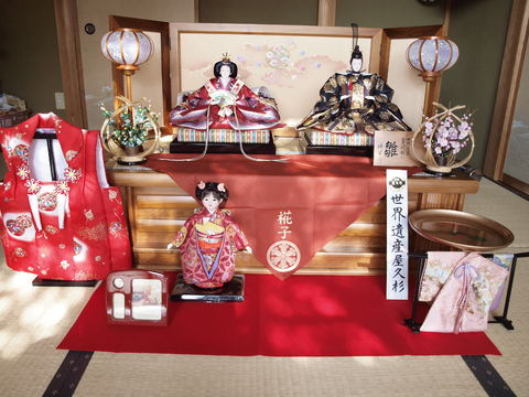 雛人形 2510015 LED付屏風親王飾り